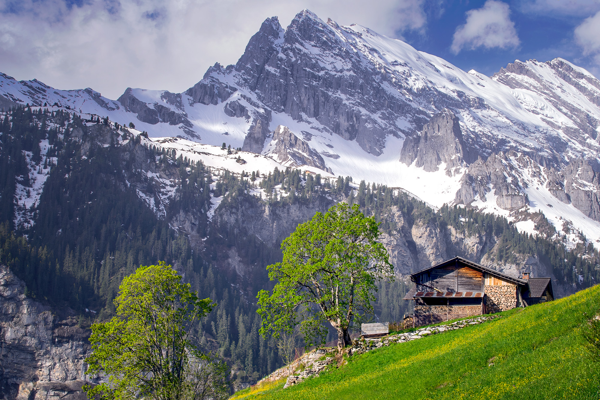 In the picturesque embrace of Switzerland, "Alpine Enchantment" unveils the realization of a fairy tale. As my friend Scott foretold...